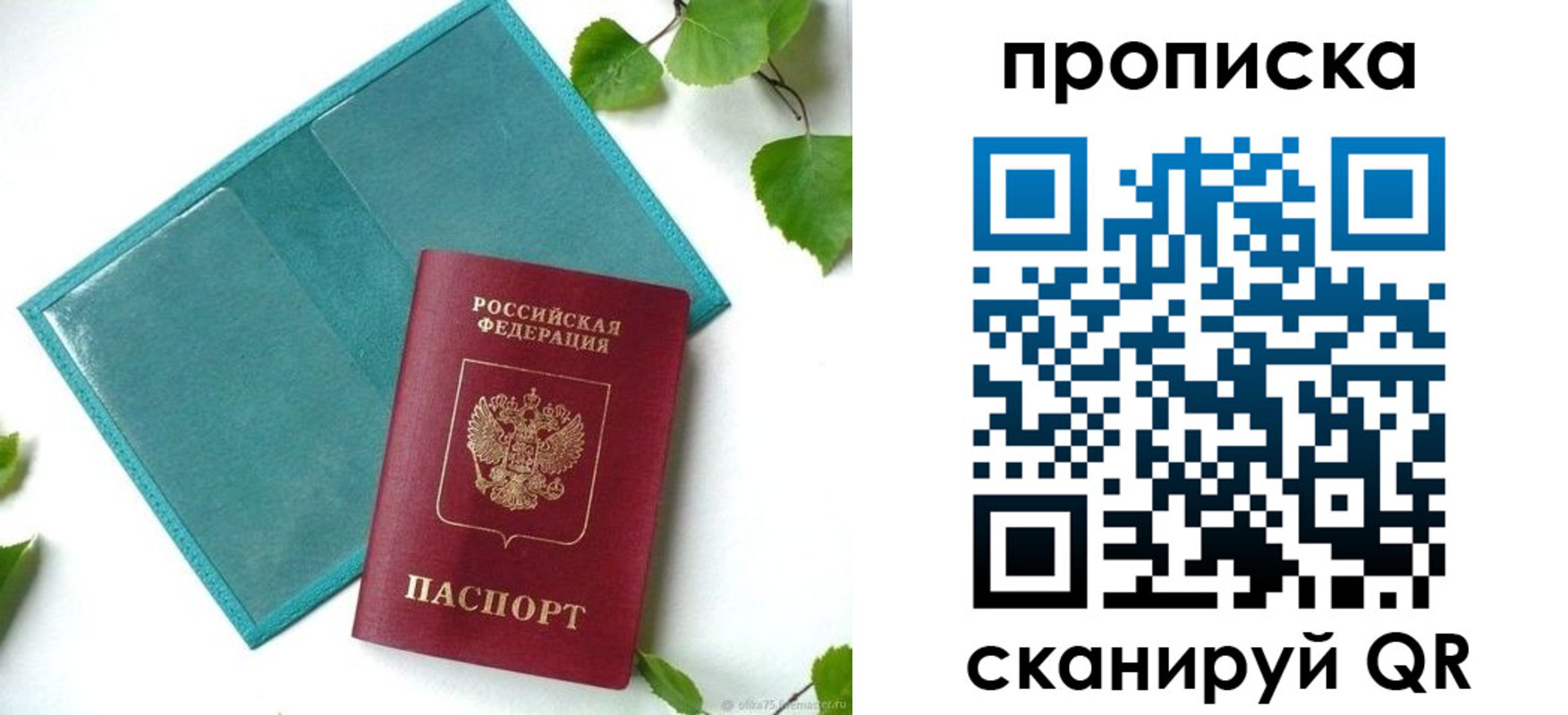 прописка штамп в Соколе